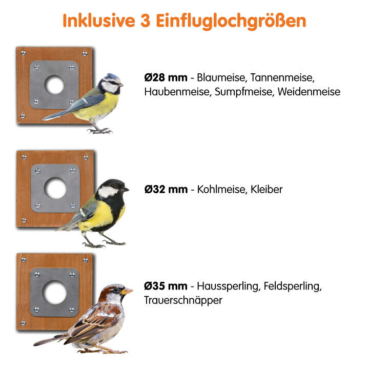 dobar Großer Nistkasten Flachdach Brunhilde